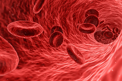 Blood cells travelling through an artery